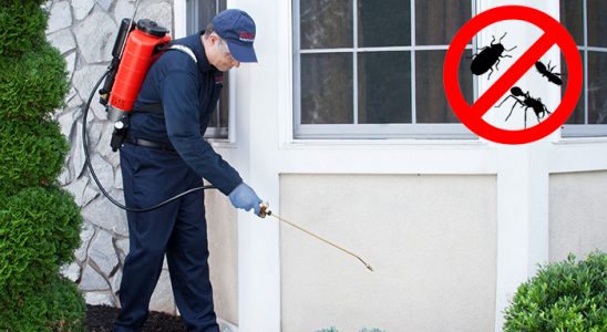 Koyulhisar Uçan Haşere İlaçlama böcek ilaçlama ve haşere kontrolü — ilaclama-tr.com